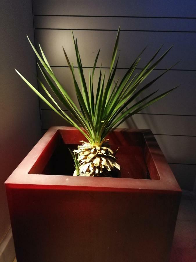 Вилла Casa Euphorbia Лас-Неграс Экстерьер фото