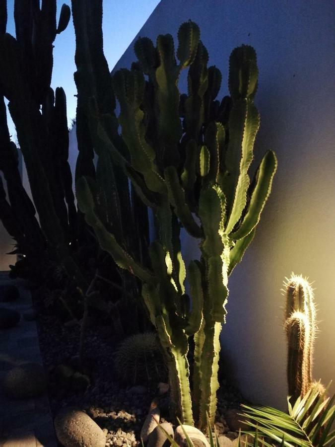 Вилла Casa Euphorbia Лас-Неграс Экстерьер фото